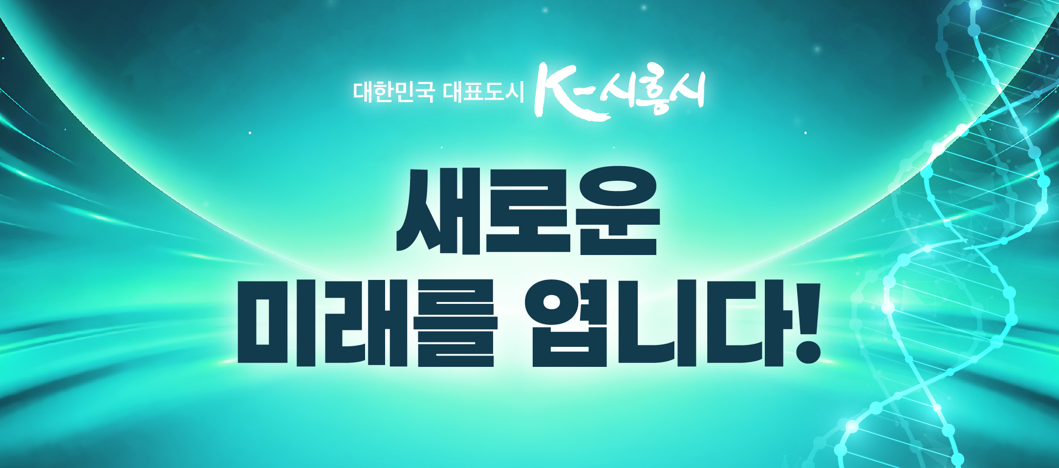 배너