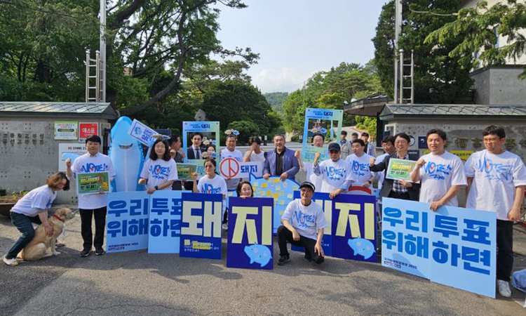 국참2025, 황금돼지띠 고3 유권자 대상 ‘희망돼지 투표참여 캠페인’ 성황리 개최