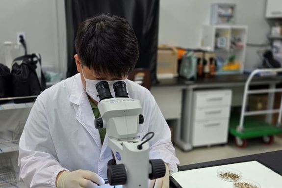 경기도, 일본뇌염 매개모기 ‘작은빨간집모기’ 올해 첫 발견… 작년보다 한 달 빨라