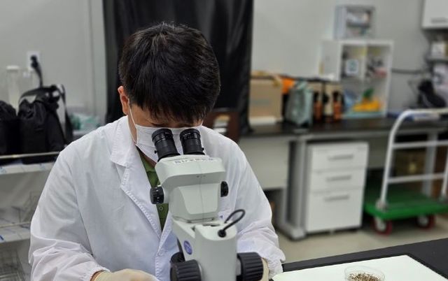 경기도, 일본뇌염 매개모기 ‘작은빨간집모기’ 올해 첫 발견… 작년보다 한 달 빨라