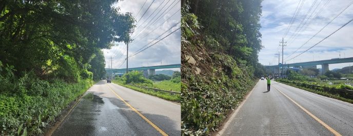 용인특례시가 동부동 일원 산림 급경사지의 위험 수목을 제거하는 사업을 완료했다. 왼쪽은 사업 시행 전, 오른쪽은 사업 시행 후 모습
