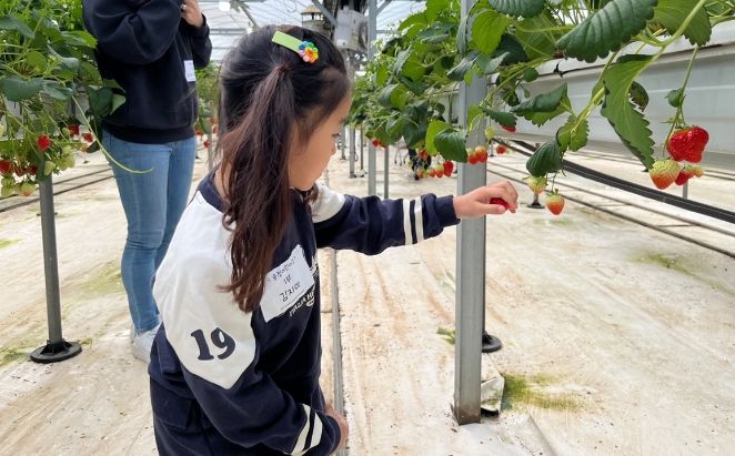 광주시 어린이급식관리지원센터, ‘따요따요, 베리팜!’ 진행