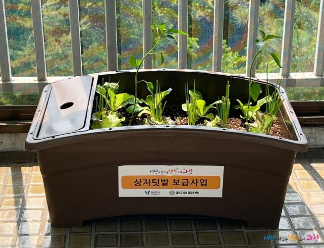 과천시, 상자 텃밭 나눔 행사 진행
