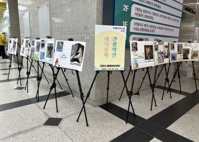 유기동물 입양사진전『네덕분에 견생역전』_일산동구청 전시 모습
