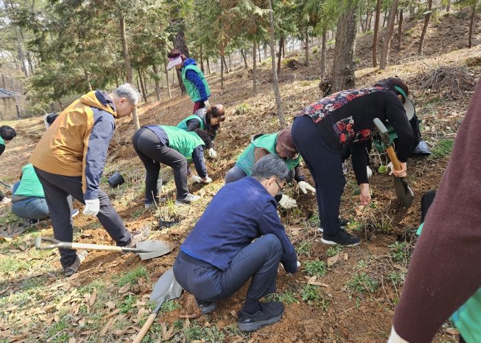 평택시 안중출장소, 시민과 함께하는 나무심기 행사