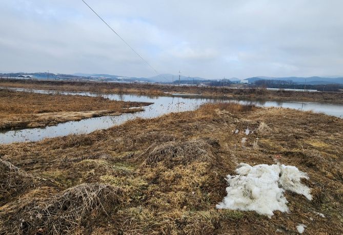 용인특례시가 율곡천(사진) 수질개선 사업을 진행할 예정이다.