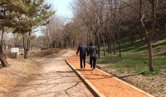 시흥시 곰솔누리숲 황톳길에서 맨발 걷기 해볼까?