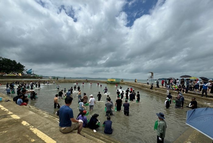 돌머리해수욕장에서 뱀장어잡기체험을 하고 있다.