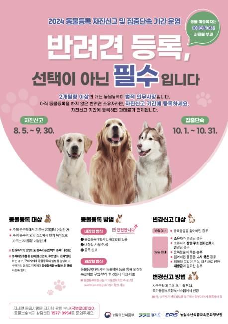 광주시, 9월30일까지 동물등록 자진신고 기간 운영