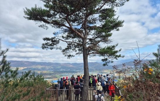 생태와 자유의 단풍여행, ‘디엠제트(DMZ) 힐링 숲길 걷기’ 양구군 행사 성공적 종료