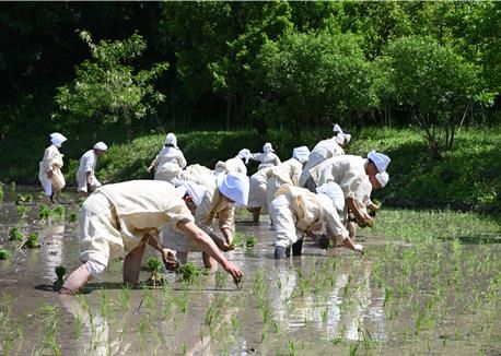 영동 설계리농요