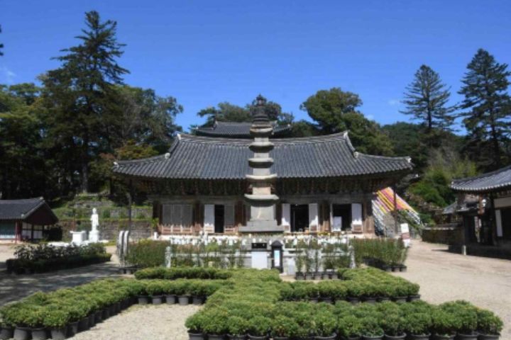 공주 마곡사 오층석탑