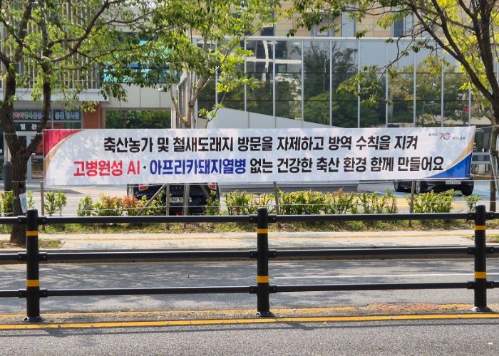 홍보 현수막
