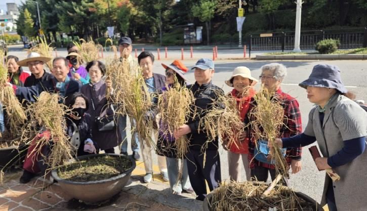 고양시 대화동 주민자치회, 주민과 함께한 '가와지 벼 수확 행사' 성료