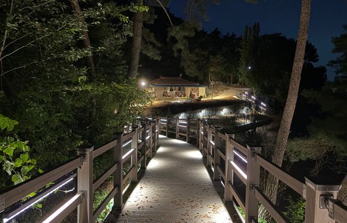 호가정 산책로 야경 사진