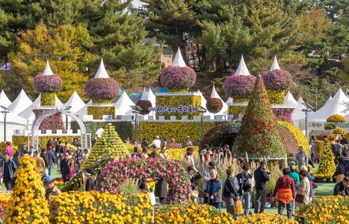 가을 정취의 절정…익산 국화축제 '76만 명' 몰렸다