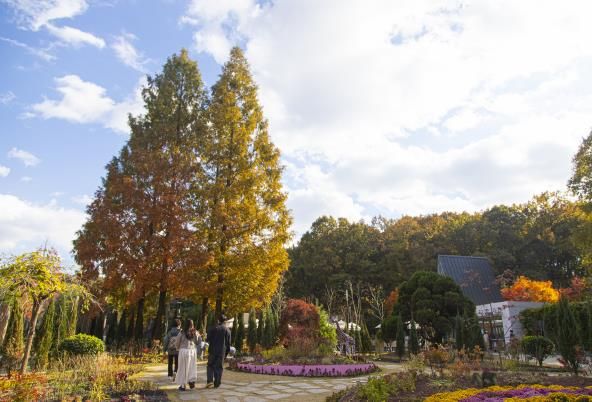 무릉도원수목원