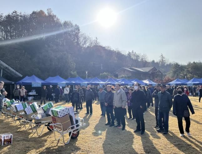 2025 봉화군 봉성면민 한마음 걷기대회, 화합의 발걸음으로 하나 되다