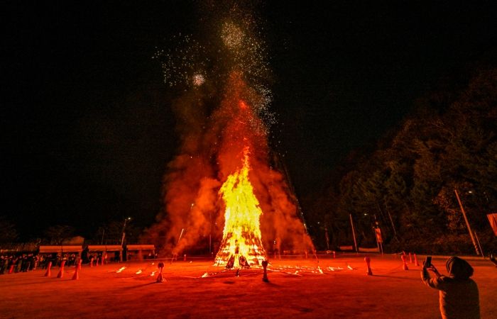 정선 민둥산은빛억새축제, 45일간 가을 향연 성황리에 마무리
