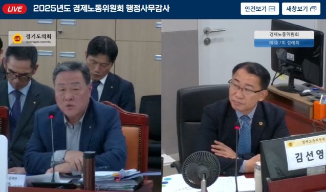 경기도의회 김선영 의원