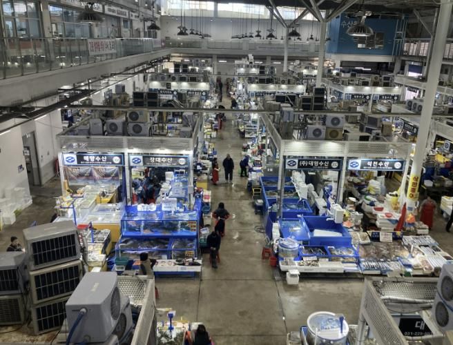 수원시농수산물도매시장 수산동 전경