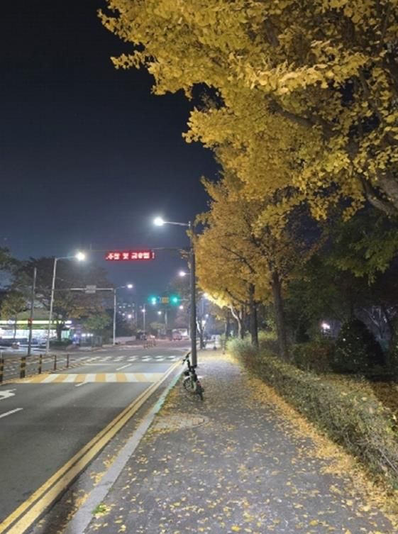 통학길‧산책길 밝아졌다…의정부시, 보행등 97개로 야간안전 강화