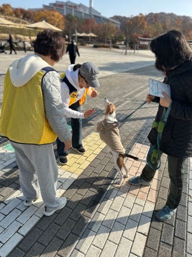 반려동물 관련 사진