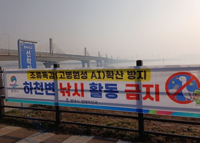 평택시, 고병원성 조류인플루엔자 확산 방지를 위해 하천 내 낚시행위 금지 계도 나서