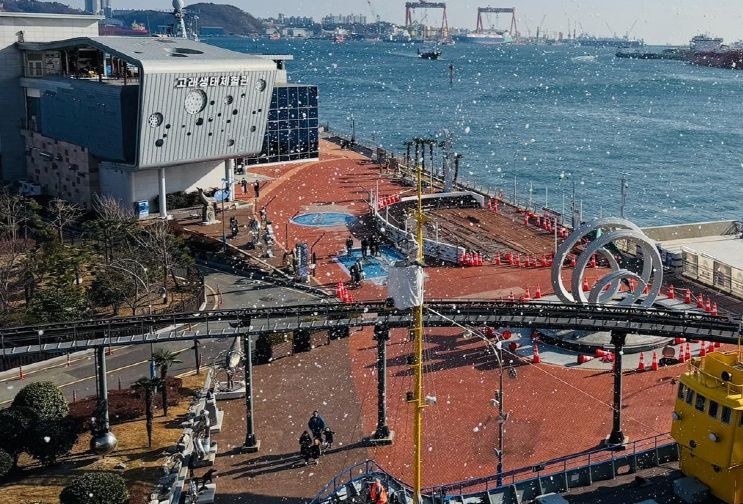 눈과 함께하는 특별한 크리스마스 고래문화특구에서 펼쳐진다(인공눈)