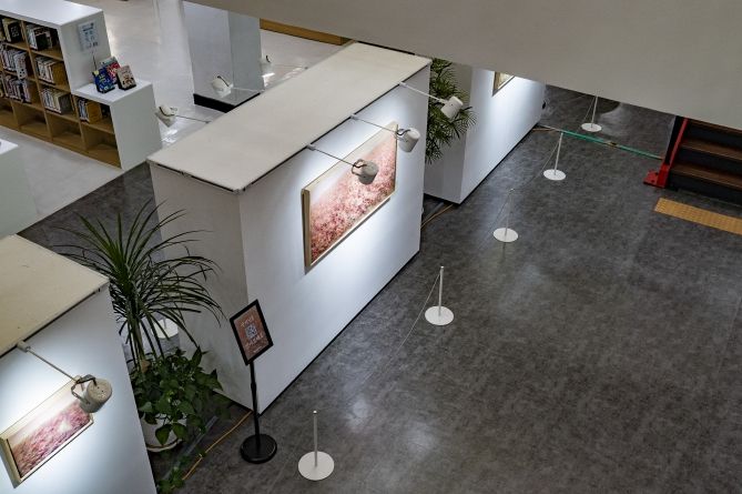 전주시 금암도서관, 작은 전시로 예술과 시민을 잇다!