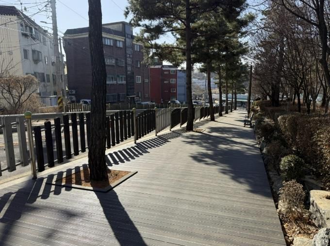 재정비된 솔숲공원 산책로