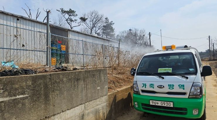 김포시, 가축전염병 차단 위해 특별방역기간 막바지 총력 대응