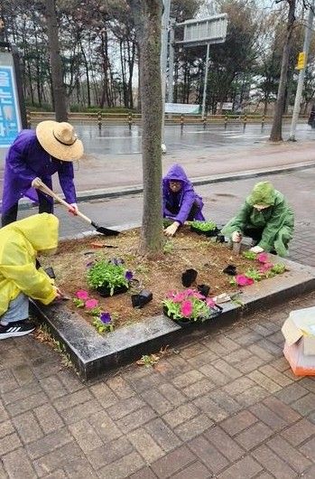 고양시 중산2동, 2026고양국제꽃박람회 대비 초화 식재