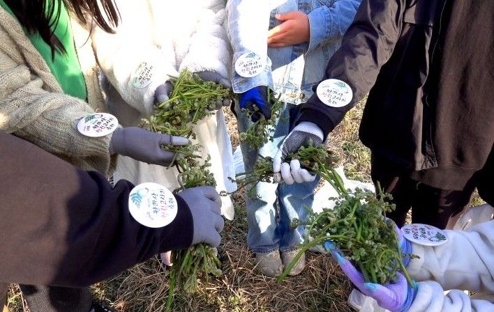 2025년 고사리 축제