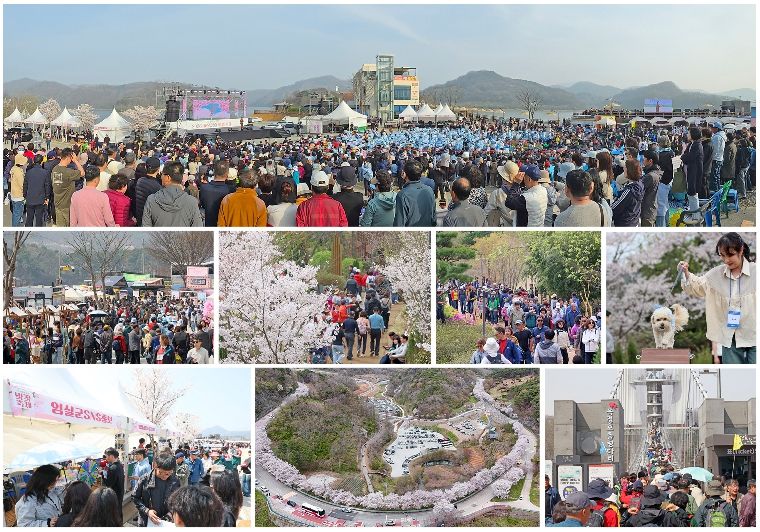봄의 향연, 옥정호에 물들다”... 2026 임실 옥정호 벚꽃축제 성료